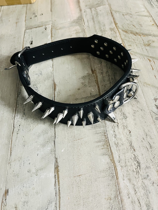 Spiked Dog Collar - photo 3