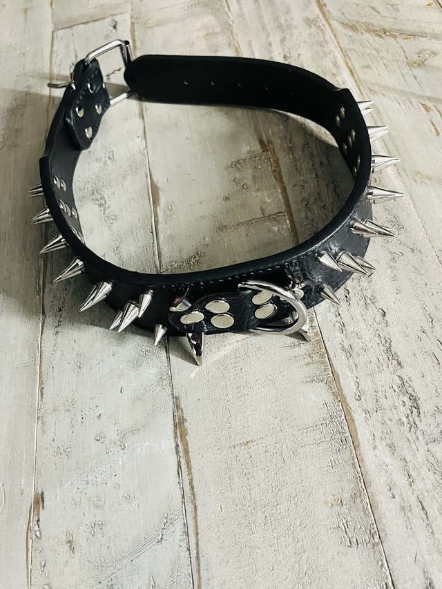 Spiked Dog Collar - photo 4