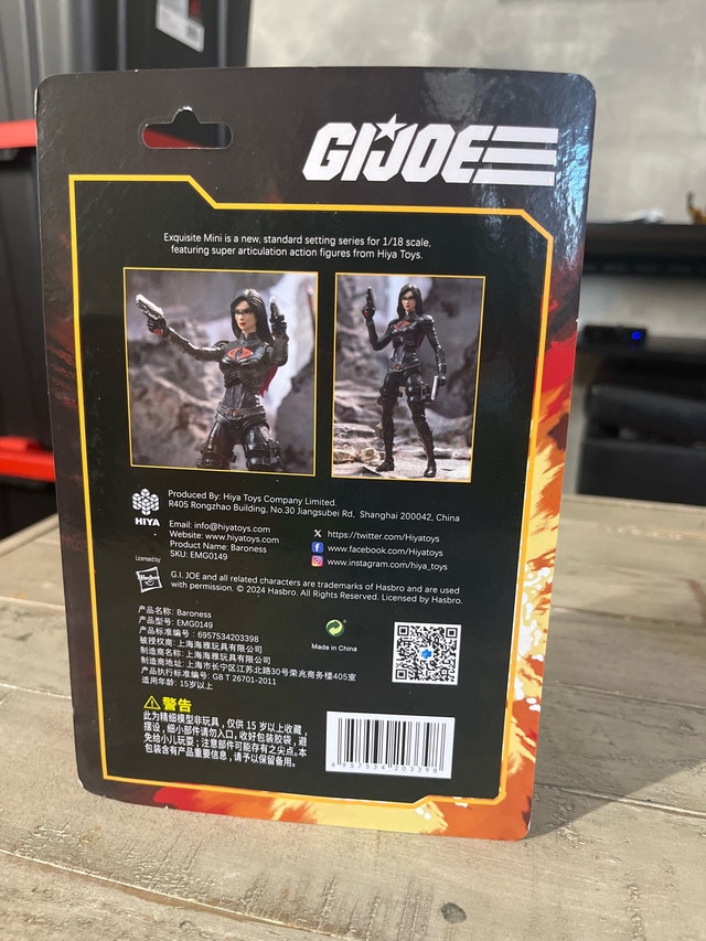 GI Joe Baroness - photo 3