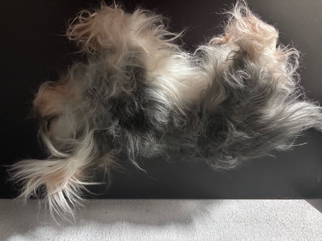 Realistic Puppy plush - photo 2