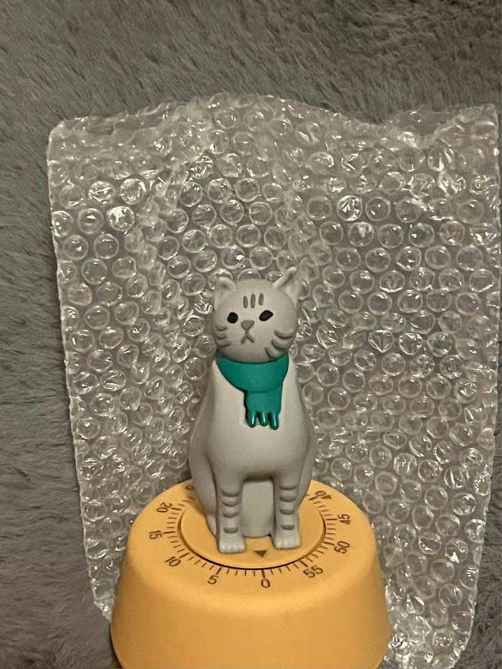 Cat Timer