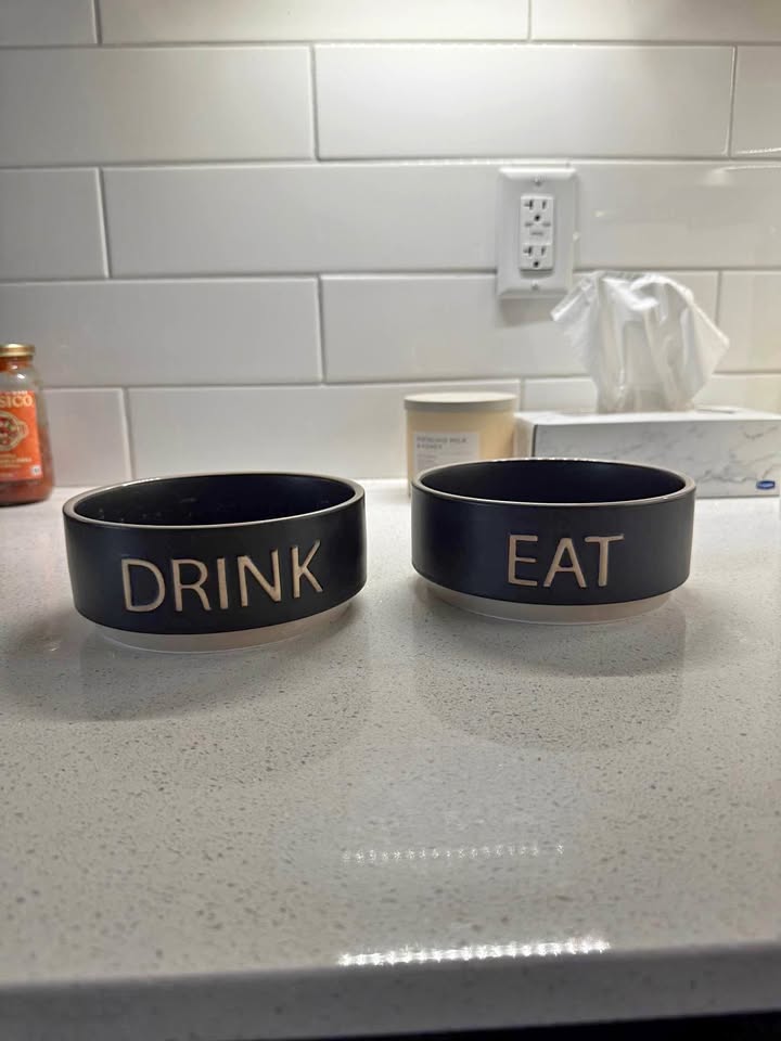 Petsmart top paw ceramic drink and eat dog bowls