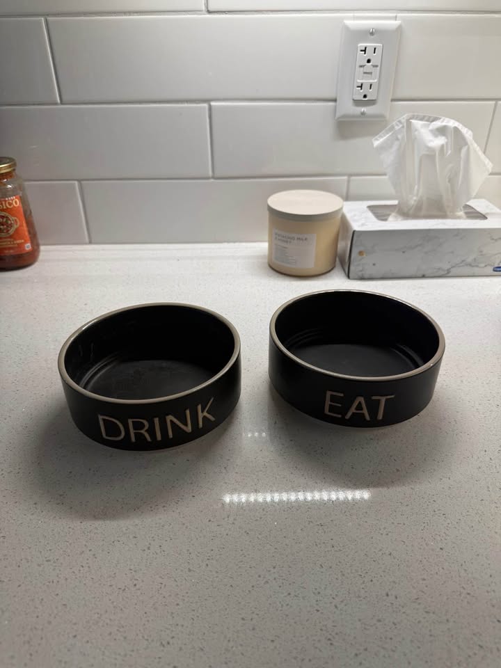 Petsmart top paw ceramic drink and eat dog bowls - photo 3