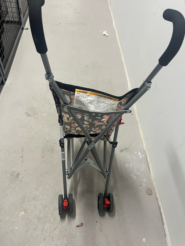 Evenflo Stroller - photo 4