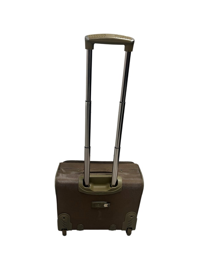 Ricardo Beverly Hills Luggage