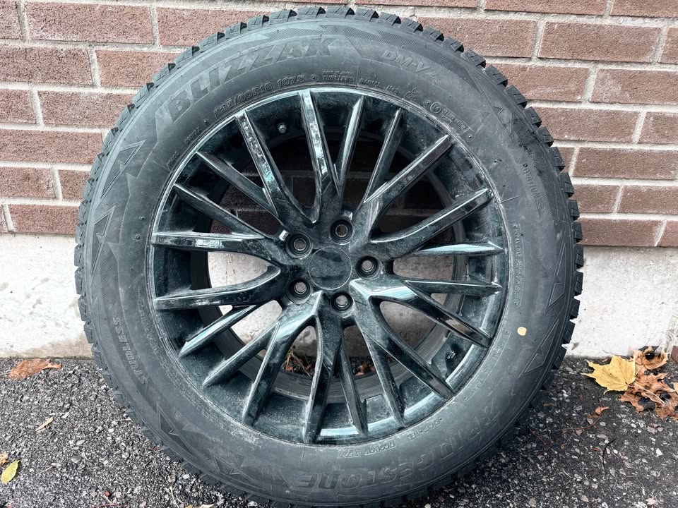 Winter Tires (235/60/18) Bridgestone DM-V2 107s