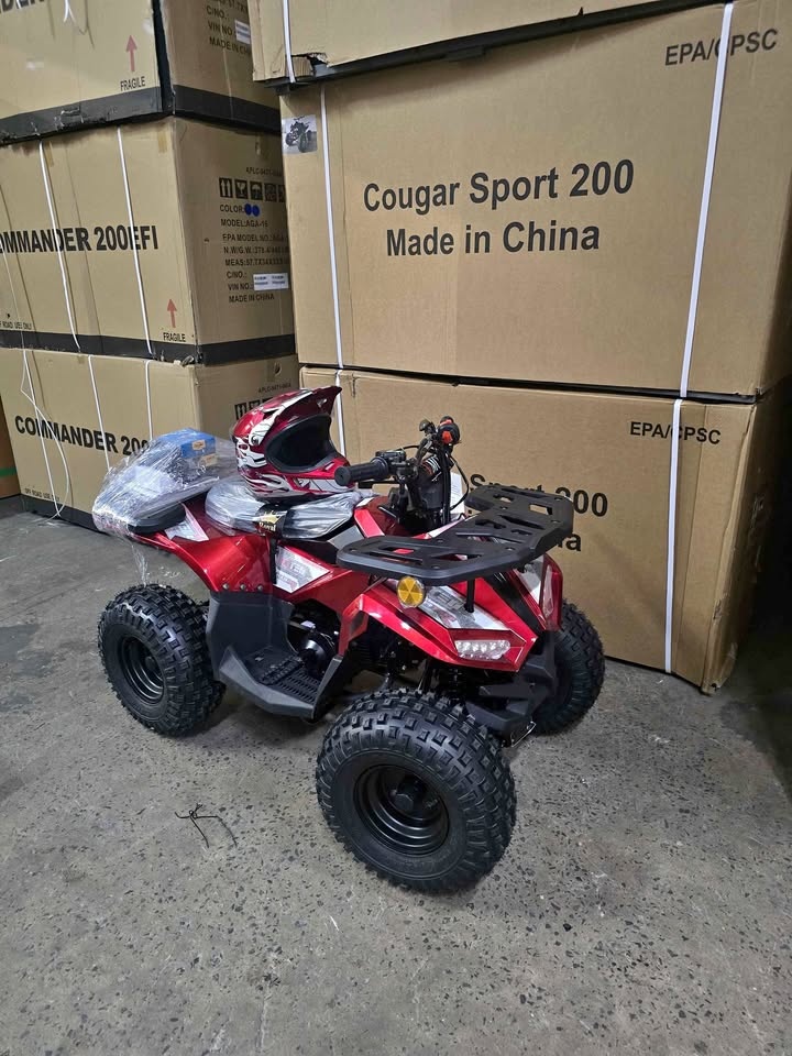 🎅📦🎄2025 Brand New Kids Gas Atv 110cc⚡☃️🎄🎁