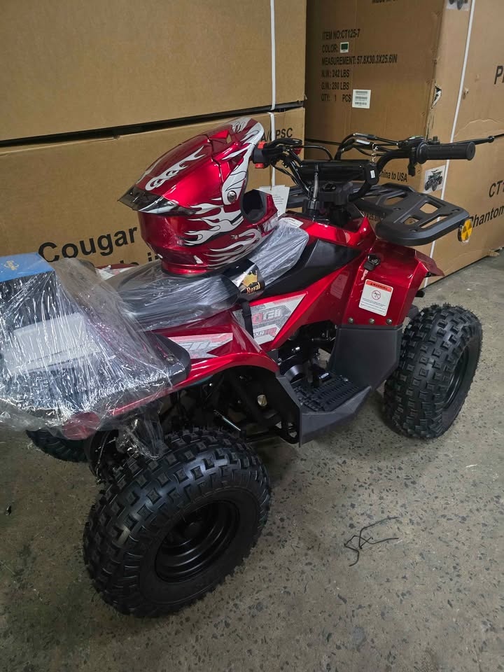 🎅📦🎄2025 Brand New Kids Gas Atv 110cc⚡☃️🎄🎁 - photo 3