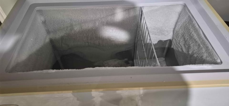 Clean Danby Chest Freezer - photo 3