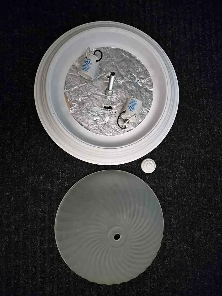 13" Dual Socket Frosted Glass Ceiling Light Fixture thumbnail