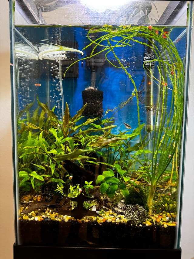 15 Gallon Tall Aquarium With Stand - photo 2