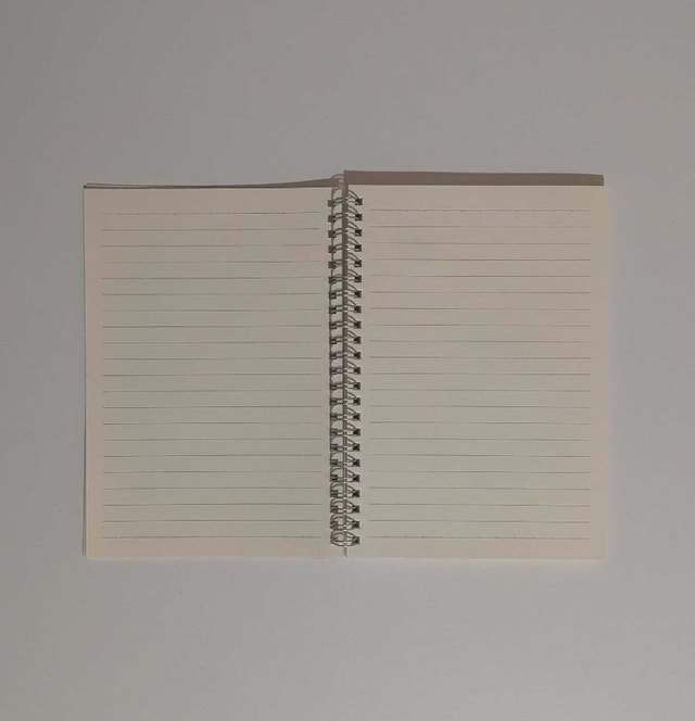 Spiral Notebook - photo 2