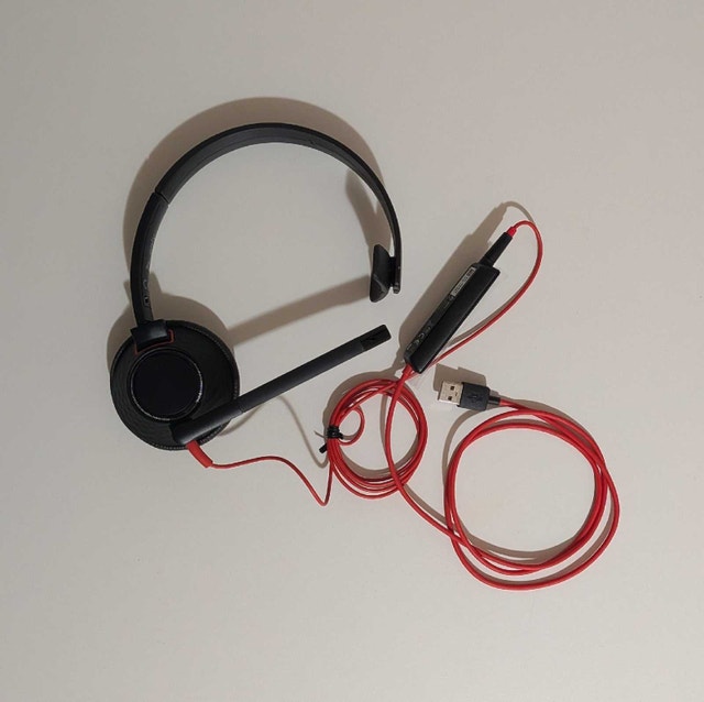 Headset with Microphone
