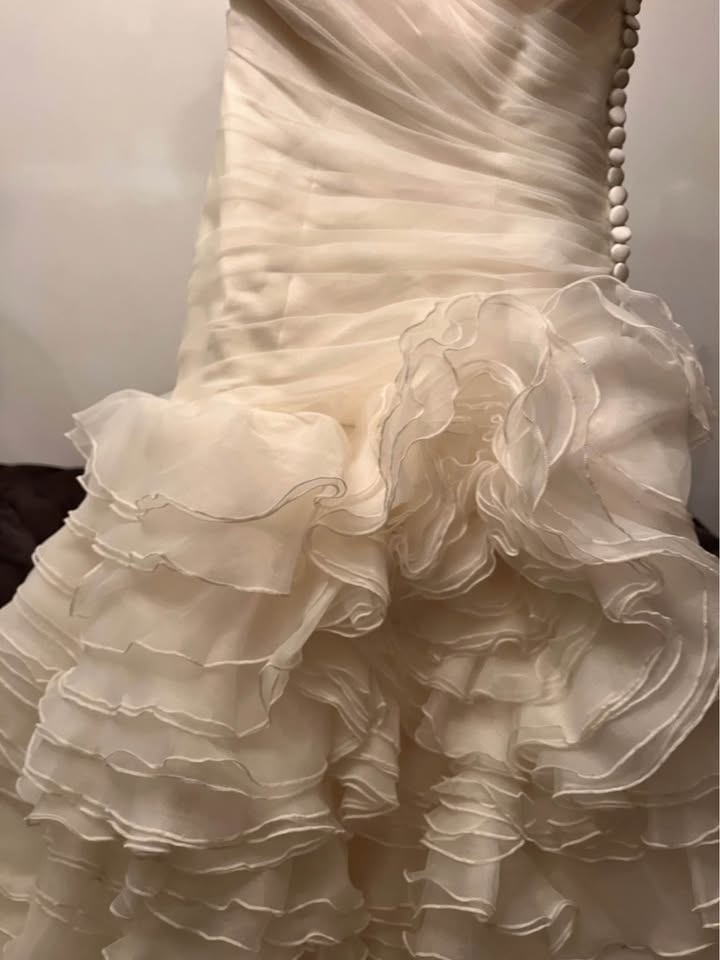 Wedding Gown - photo 4