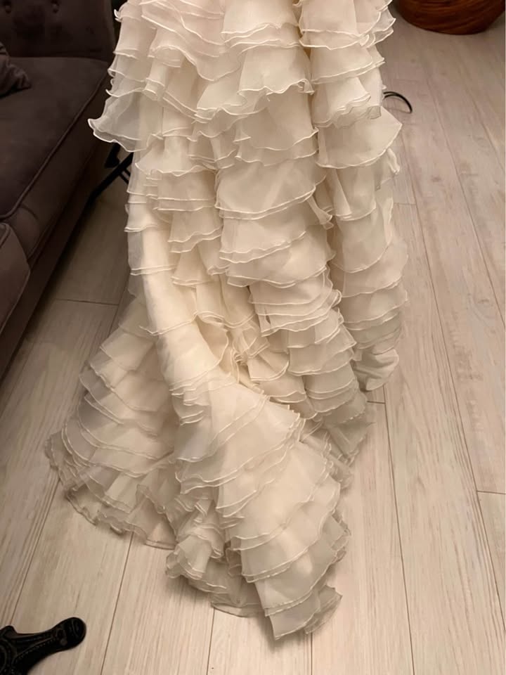 Wedding Gown - photo 5