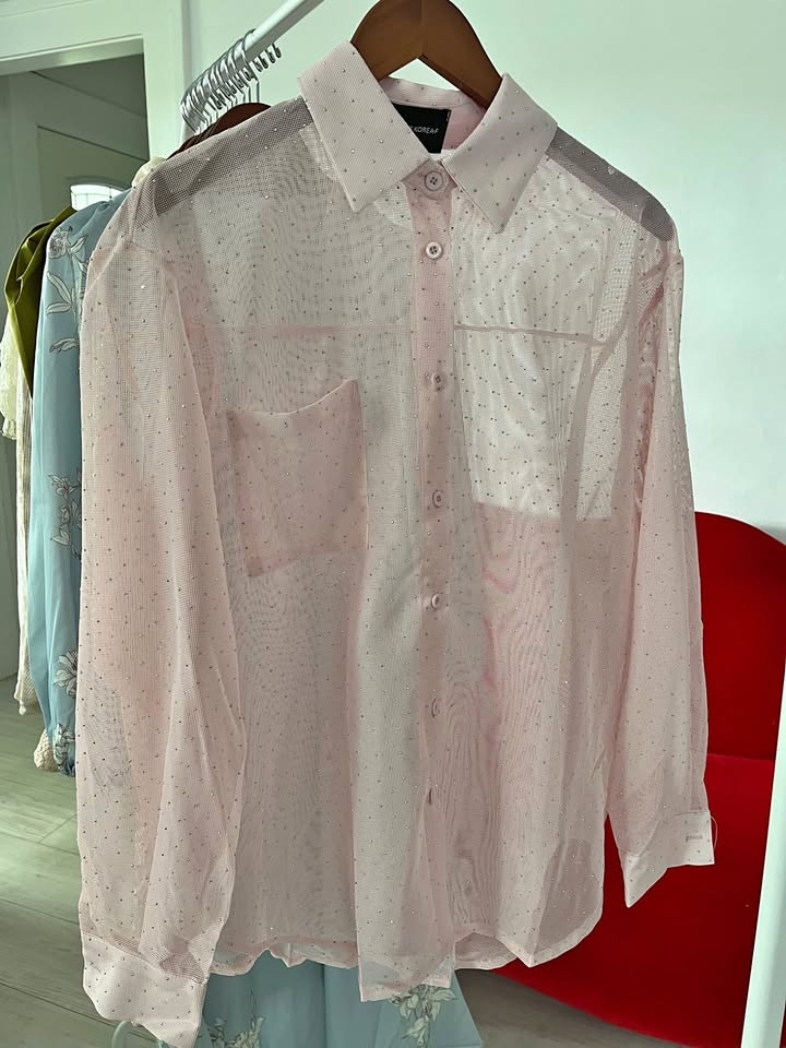 Light Pink Sheer Sparkle Blouse