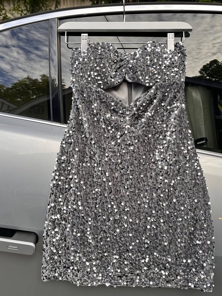Silver sequin strapless party dress