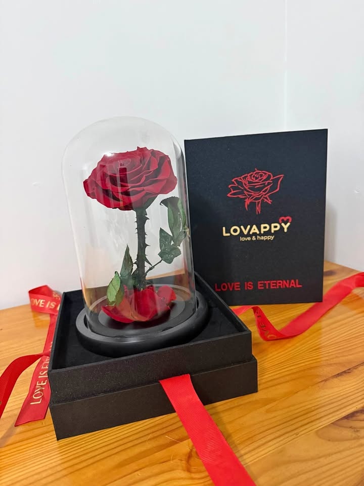 Preserved Flower in Gift Box – Long Lasting Floral Display
