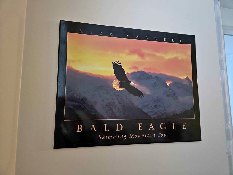 Kirk Yarnell Bald Eagle Art Frame