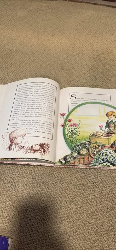 The Velveteen Rabbit - photo 2
