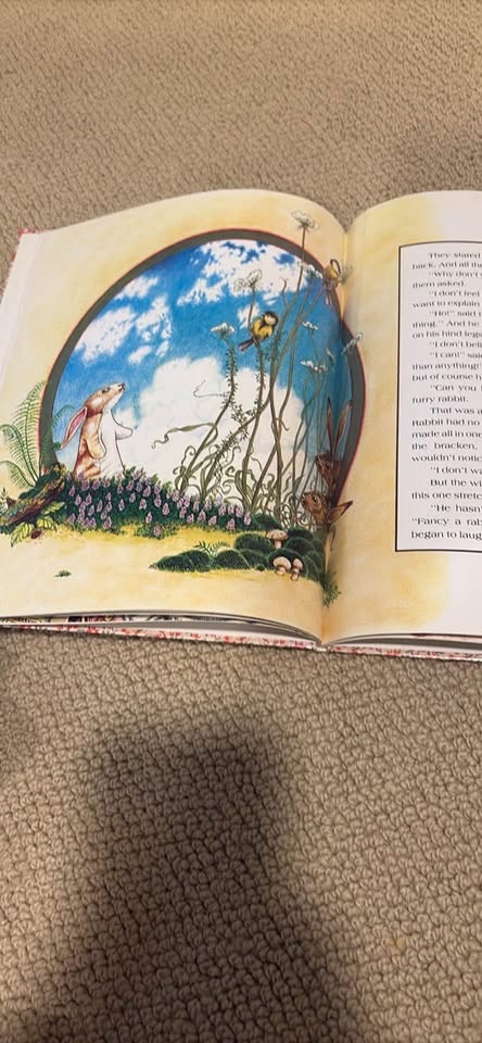 The Velveteen Rabbit - photo 3