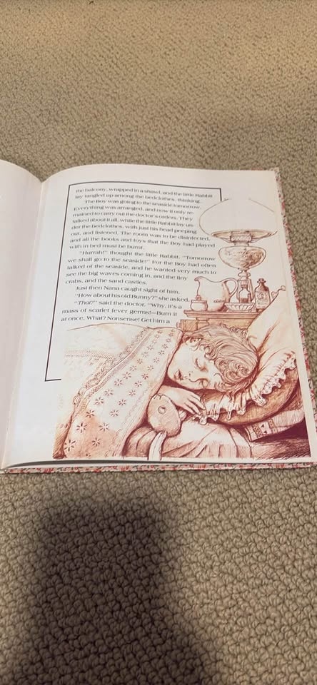The Velveteen Rabbit - photo 4