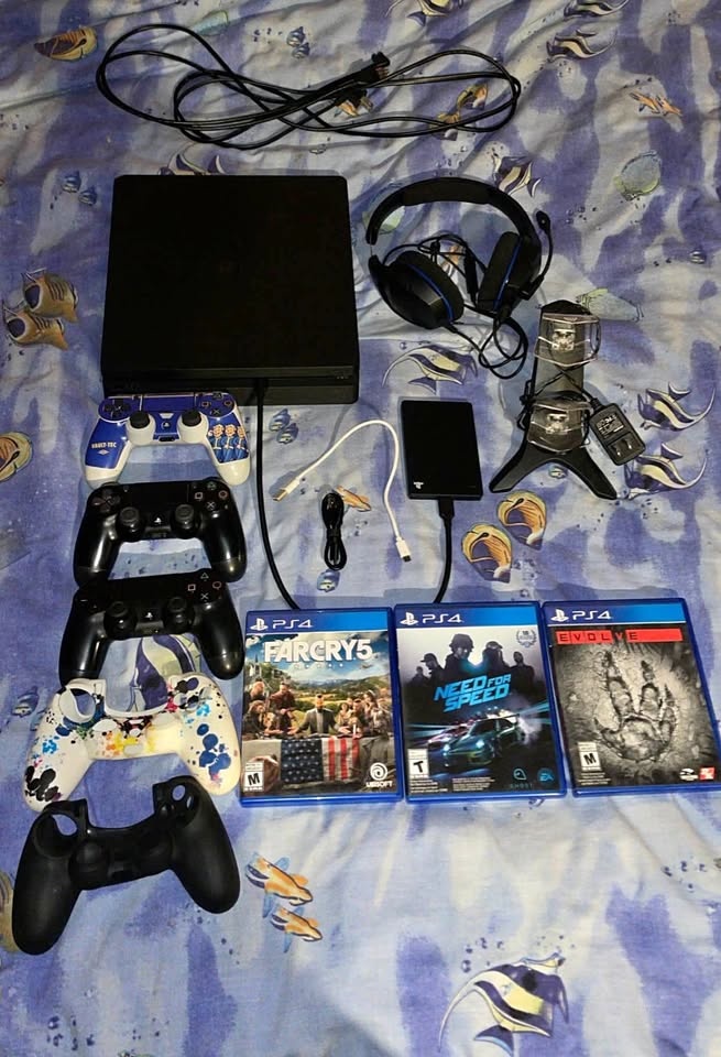 PS 4 – 2TB | Perfect Condition | Complete Bundle