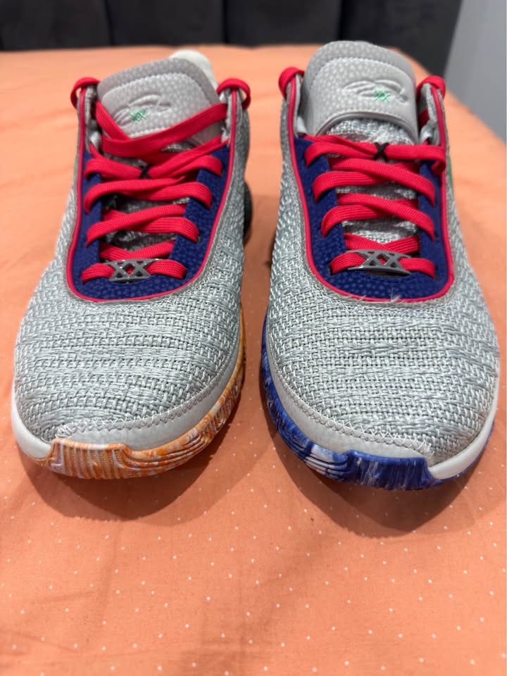 LeBron 20s (light silver) - photo 2