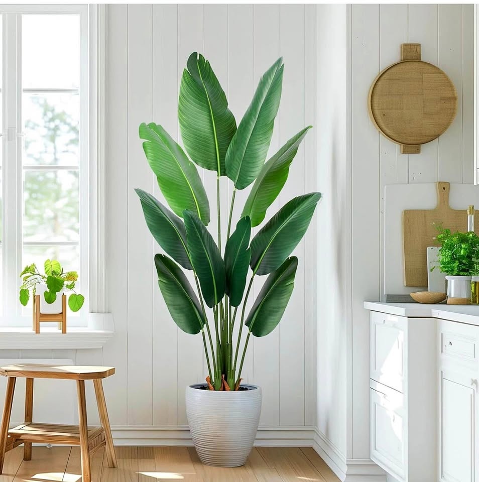 Artificial Bird of Paradise Plant 5 Ft Tall