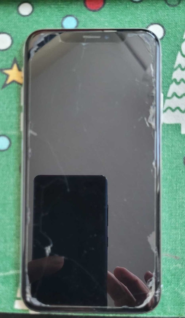 iPhone X