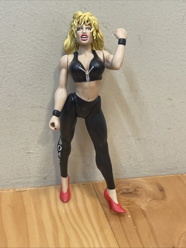WWE Sable 1998 6.5“ Jakks Wrestling Figure