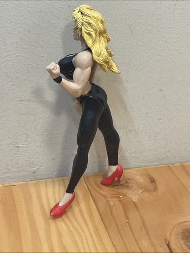 WWE Sable 1998 6.5“ Jakks Wrestling Figure - photo 4
