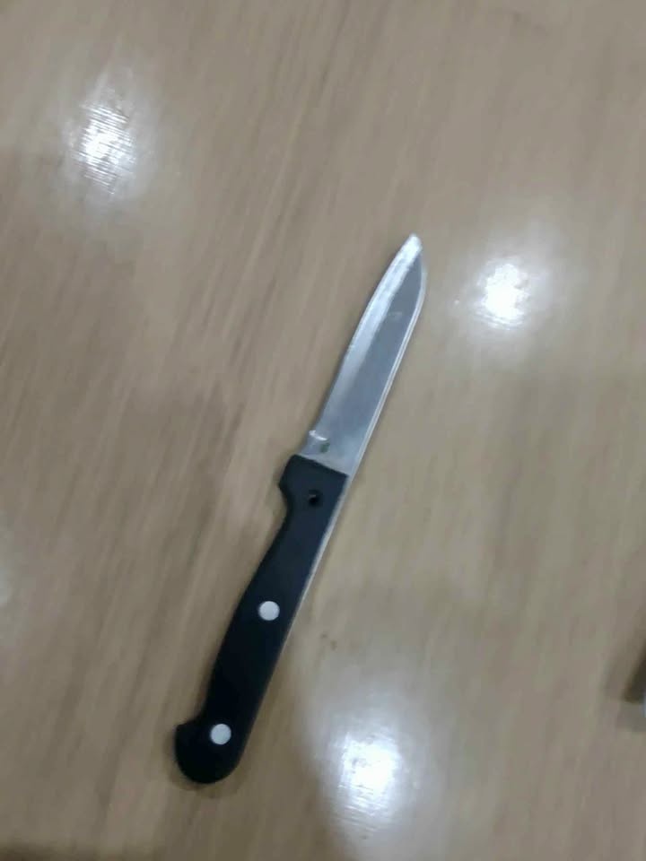 Kitchen knives