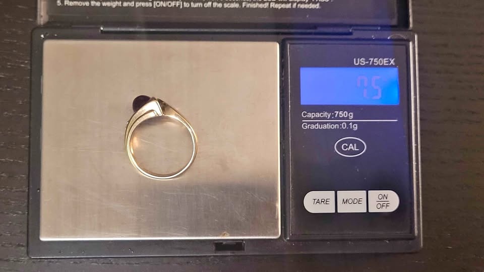 MENS 10k GARNET & DIAMOND RING - (7.5 Grams)