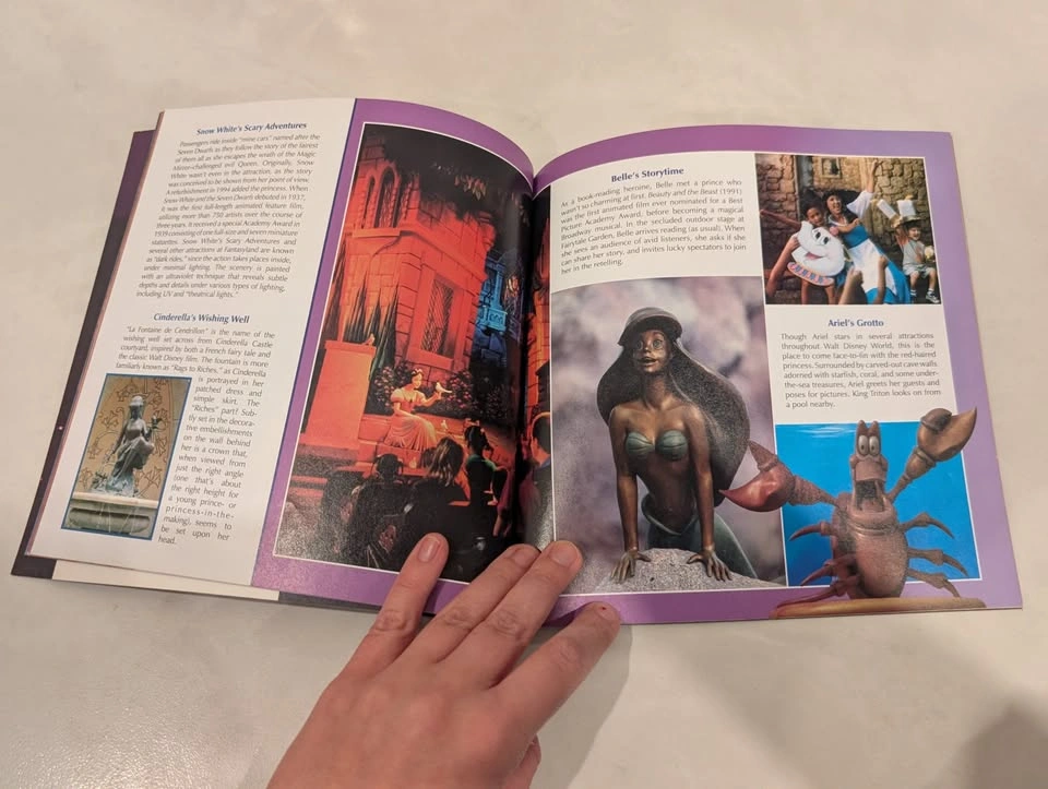 Walt Disney World Souvenir Books - photo 3