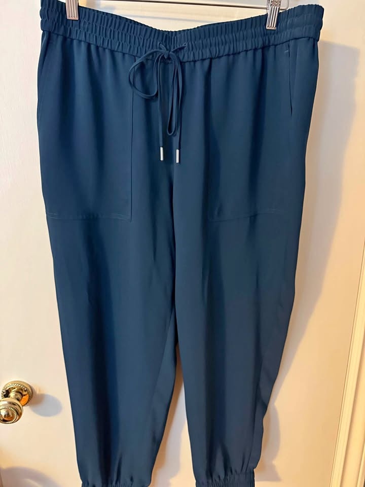 Ann Taylor Ladies Dress Pants - Size L - Teal