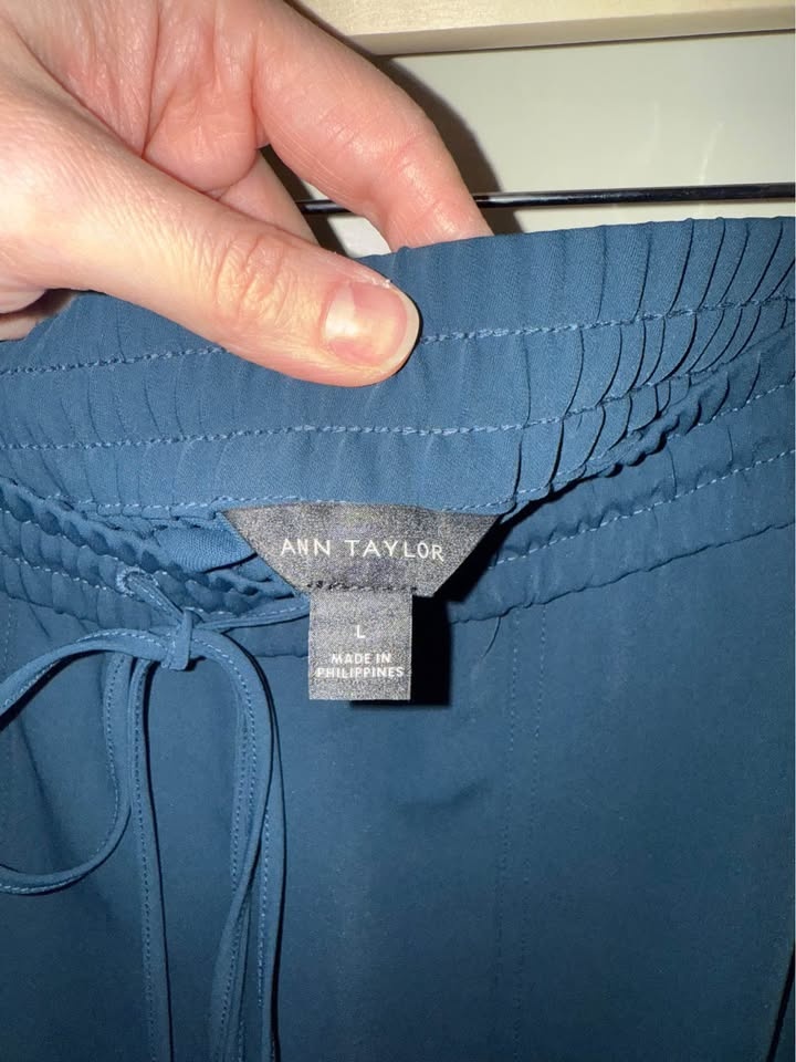 Ann Taylor Ladies Dress Pants - Size L - Teal - photo 3