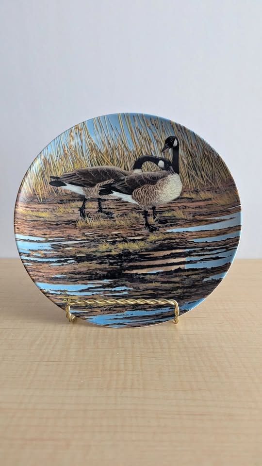 🦢 Vintage Collector Plates: Donald Pentz Set (4)