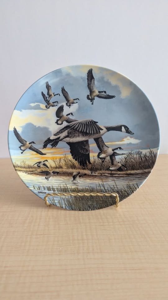 🦢 Vintage Collector Plates: Donald Pentz Set (4) - photo 3