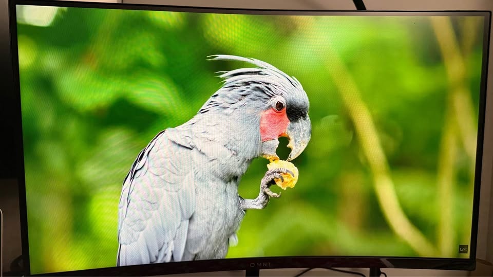 Viewsonic 27" 165Hz Gaming Monitor - photo 5