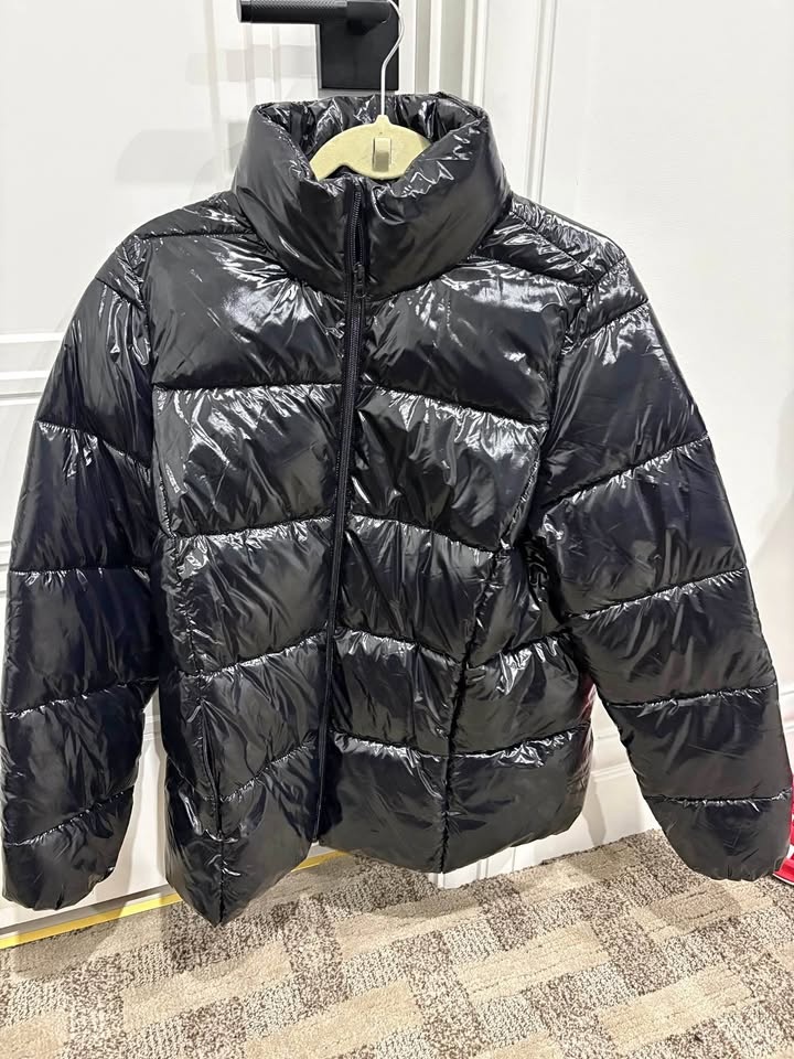 Shiny Black Puffer