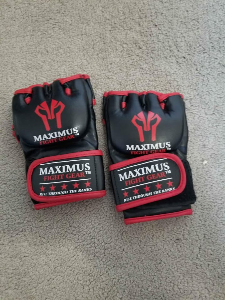 Martial arts gloves