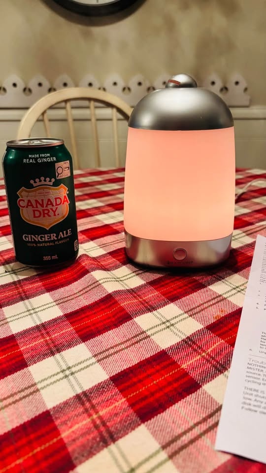 SpaMist Ultrasonic Diffuser - photo 2