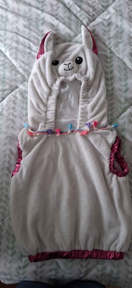 Halloween Costumes for Toddlers - photo 2