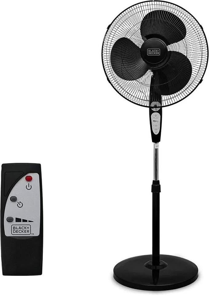 New Fan