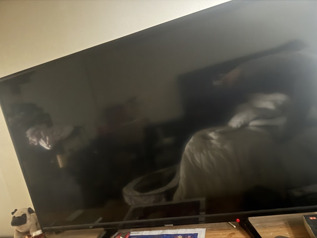 Best Buy 55L516U TV - photo 3
