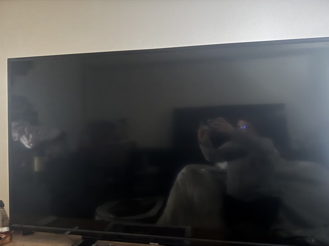 Best Buy 55L516U TV - photo 4