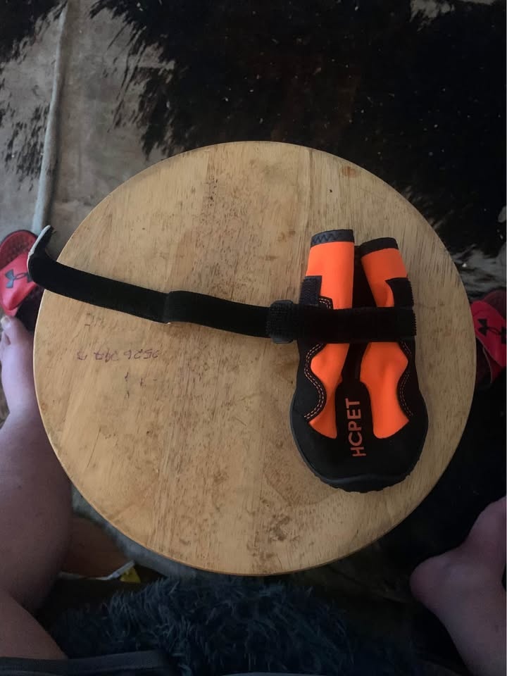 New/Never Used Dog Protective Boots - photo 4
