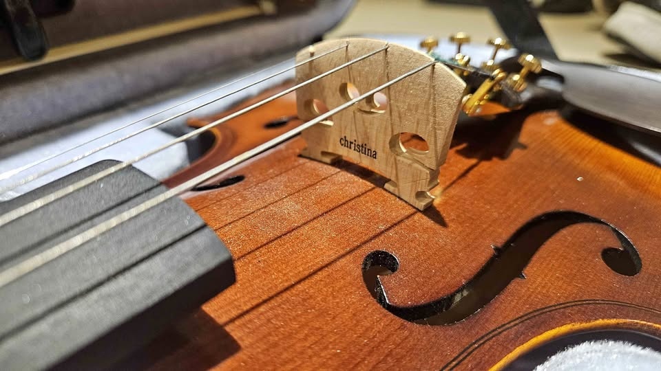 Christina V02 4/4 Violin Kit for Adult Beginners