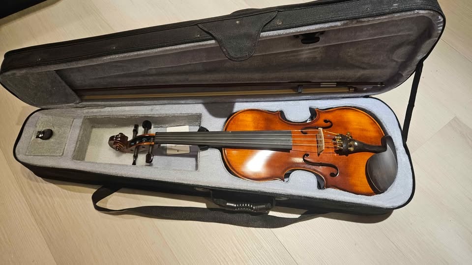 Christina V02 4/4 Violin Kit for Adult Beginners - photo 2